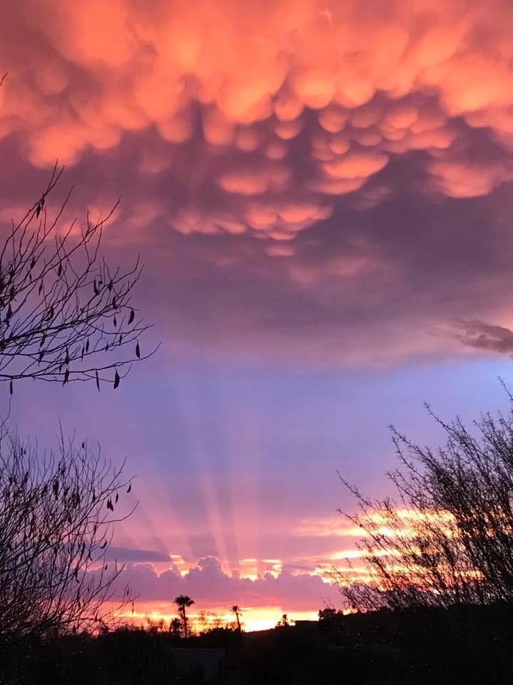 Reader sunsets